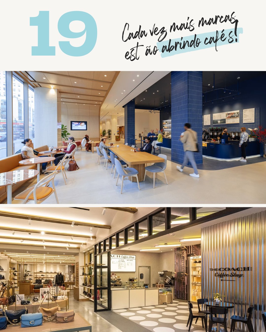 Daily Drop #19 de VOX insights