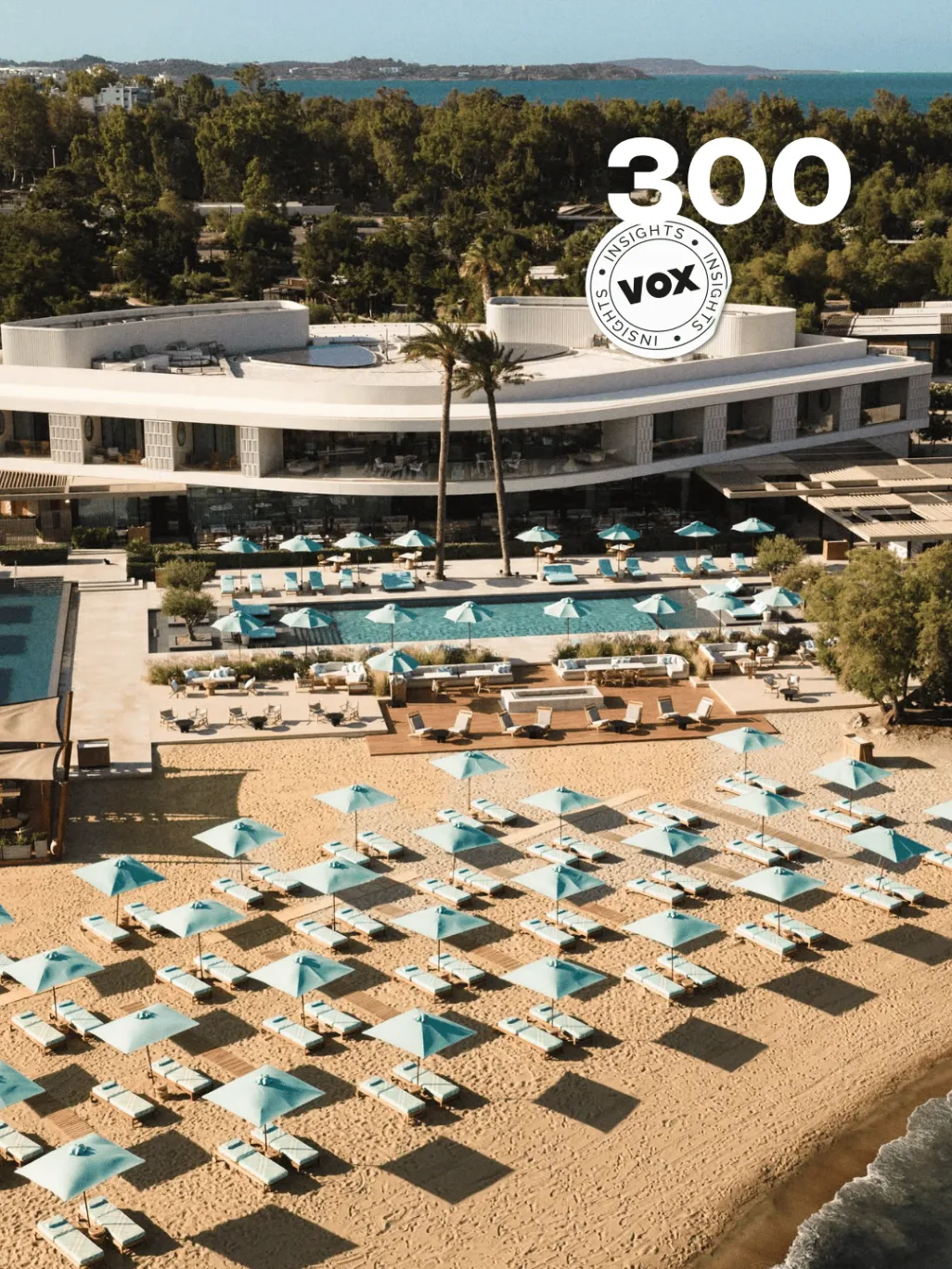 Daily Drop #300 de VOX insights