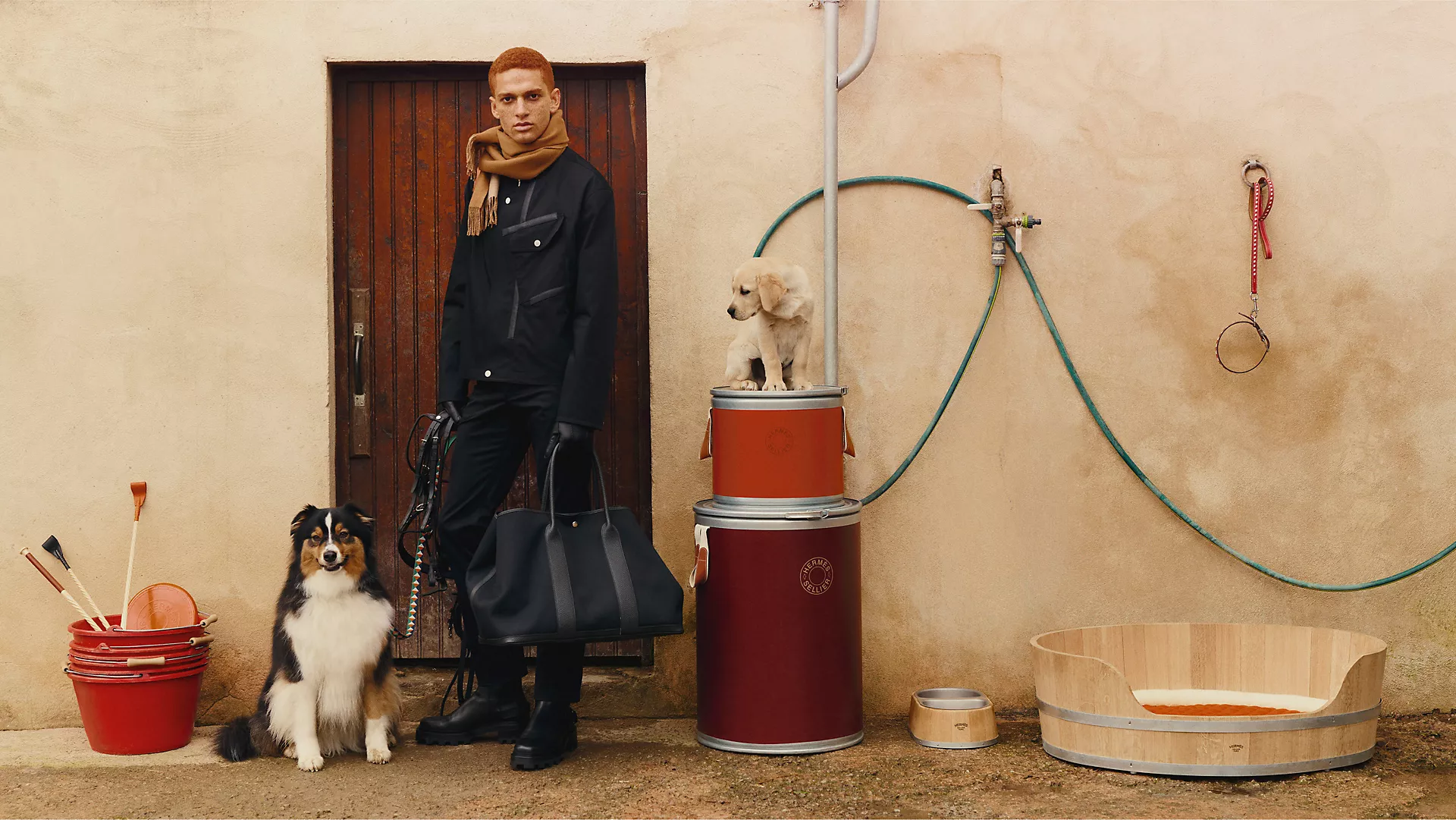 O Pet Virou Lifestyle: Como o Mercado de Beleza para Animais Se Tornou um Negócio de Status e Emoção